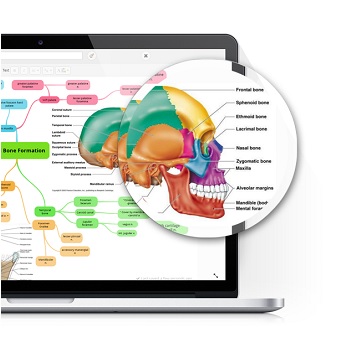 GoConqr Mindmaps